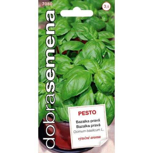Bazalka pravá - pesto 0,3g