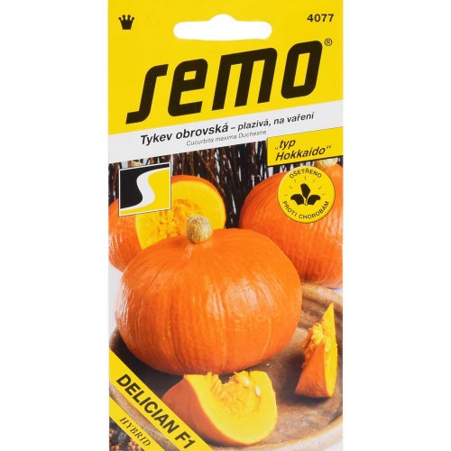 Tekvica delician f1 5s