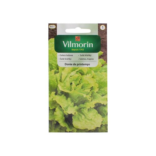 Šalát ľadový doree de printemps 1g
