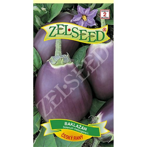 Baklažán český ranný 100s - Umelé kvety