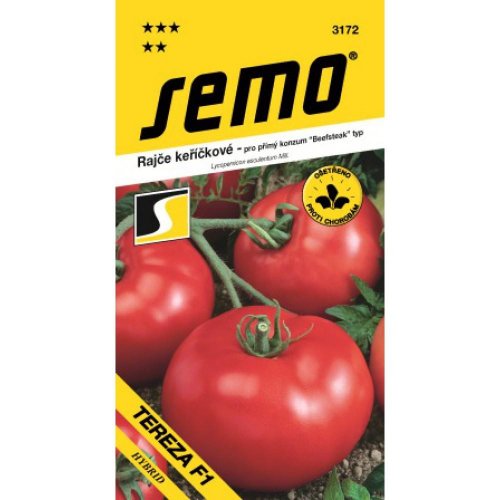 Rajčiak kríč tereza f1 50s