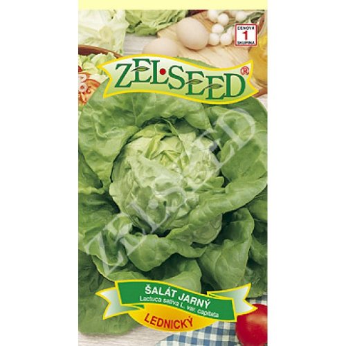 Šalát jarný lednický 0,70g