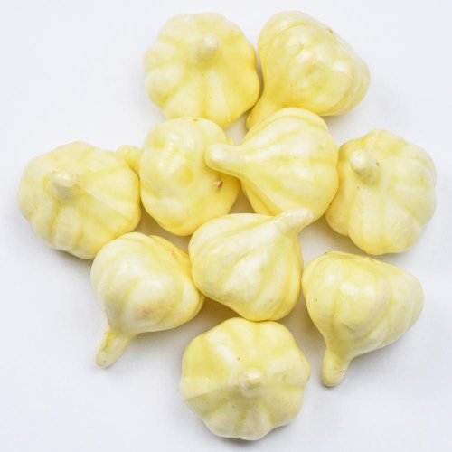 Malý cesnak s/10 4cm - Umelé kvety