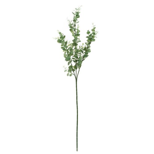 Zeleň eucalyptus baby blue zelený 67cm