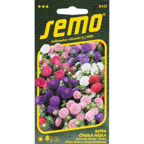 Astra čínska níz colour carpet 0,5g