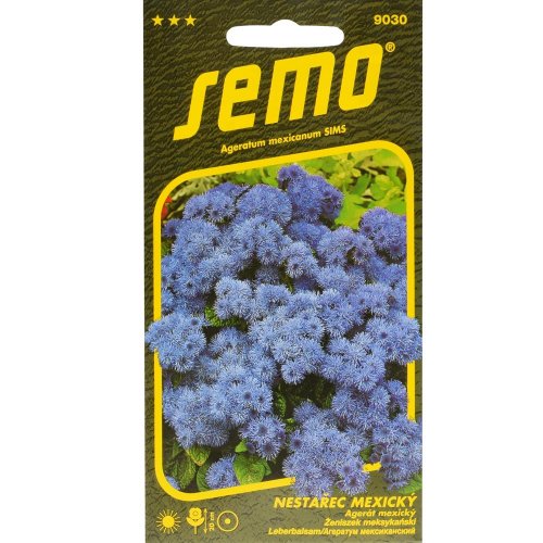 Agerát mexický tetra blue mink 0,2g