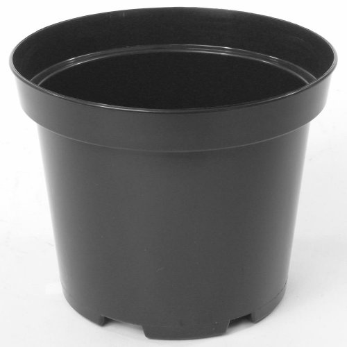 Kontajner- sbx 18cm, 2,5l