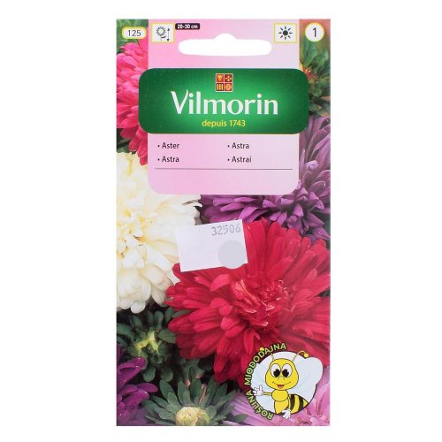 Astrovka čínska zmes 1g - Umelé kvety