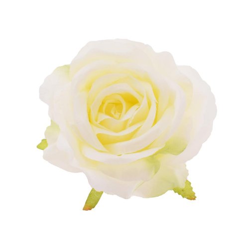 Hlava ruža krémová priem:10cm bal:12ks