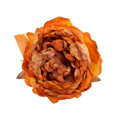 Ks hlava pivonka žltá 10cm - Umelé kvety