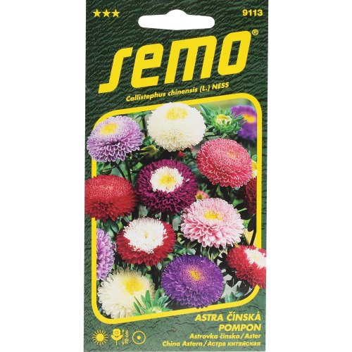 Astrovka čínska pompon zmes 0,5g