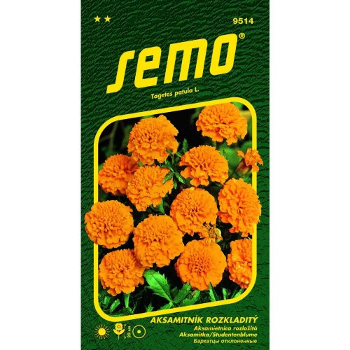 Aksamietnica petit oranž. 1g