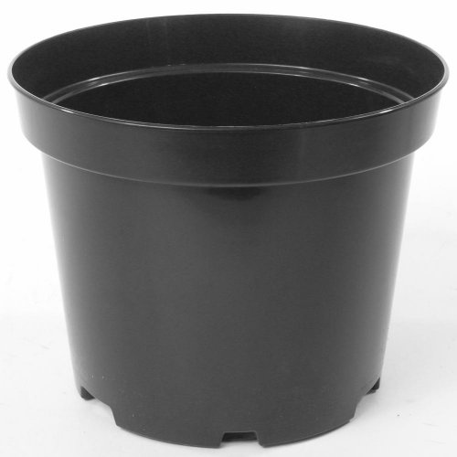 Kontajner 21cm, 4l sbx