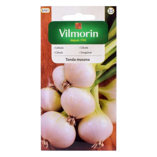 Cibuľa tonda musona 2g