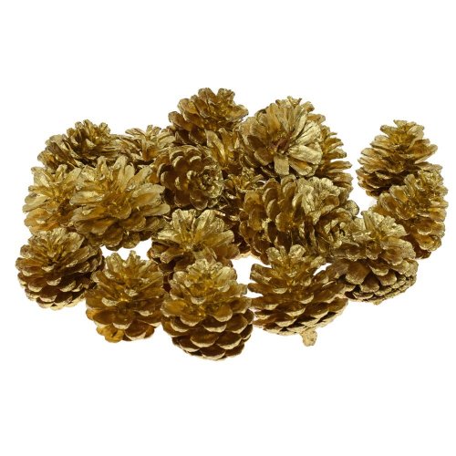Blue pine /gold/ 500g -susz/i819_20