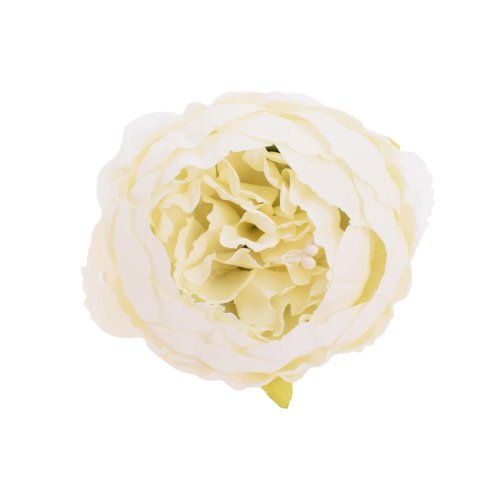 Hlava pivonka biela 7cm