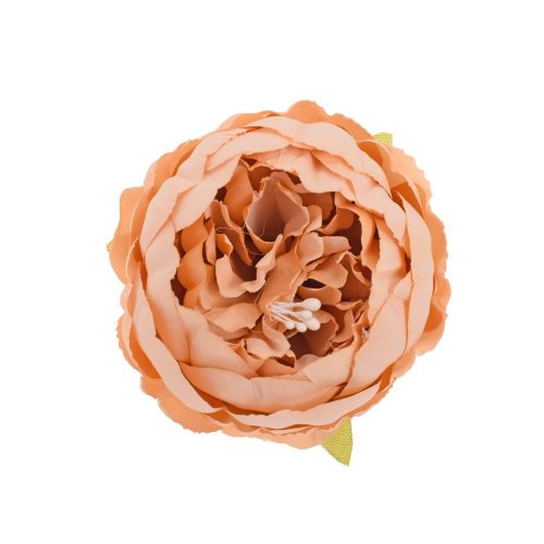 Hlava pivonka hnedá 7cm