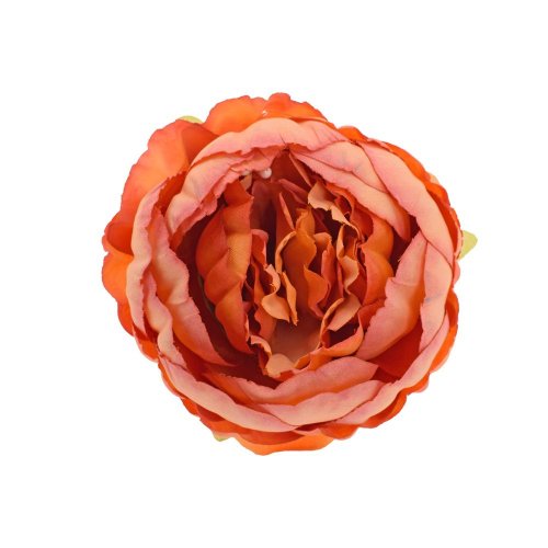 Hlava pivonka oranžová 7cm
