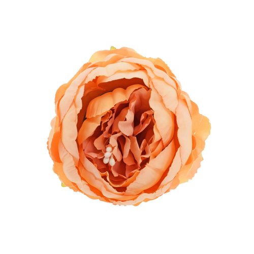 Hlava pivonka lososová 7cm