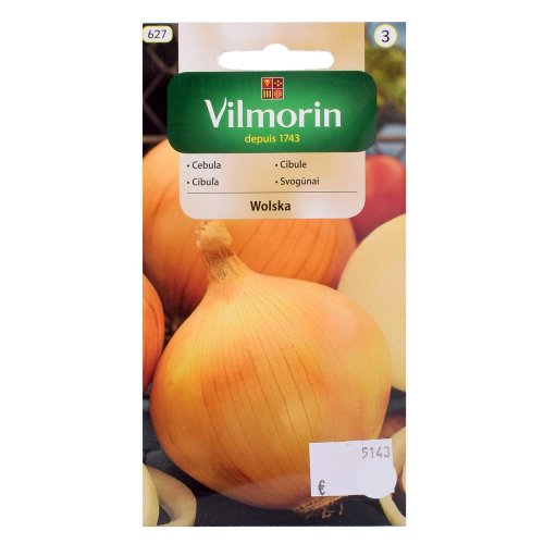 Cibuľa wolska 5g - Vianočné dekorácie