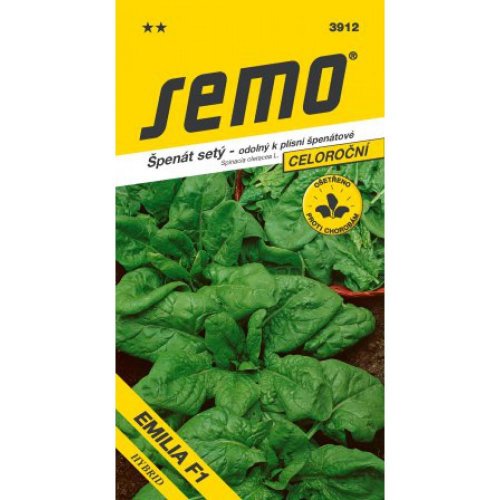 Špenát sacramento/ la paz f1 5g