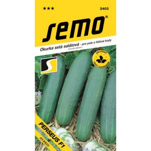 Uhorka šal perseus f1 1,3g