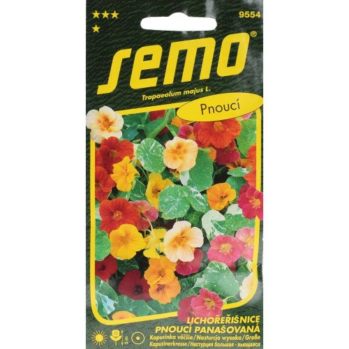 Kapucínka väčšia out of africa 2g