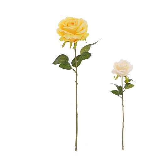 Ks ruža, zeleň mix/2f 45cm