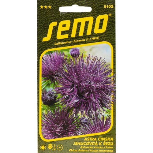 Astra čínska electric modrá 0,5g - Umelé kvety