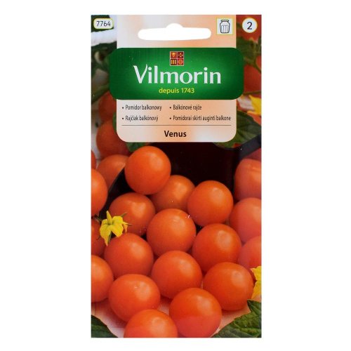 Rajčiak balkónový venus 0,3g - Vianočné stromčeky