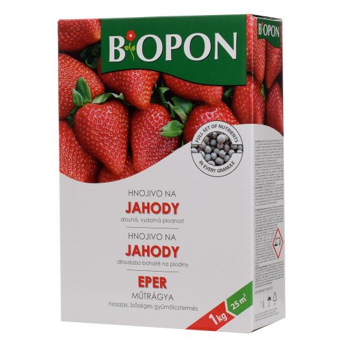 Bopon 1kg - jahody a lesné jahody b1060