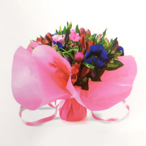 520071-75 fl.ct de 10x10speedo taška pvc sťahovacia