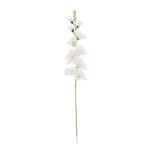 Ks gladiola biela 75cm
