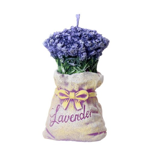 Levandula taška fialová 13cm