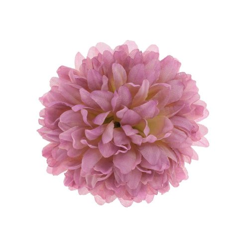 Hlava chryzantéma 10 cm bal.12ks ružová