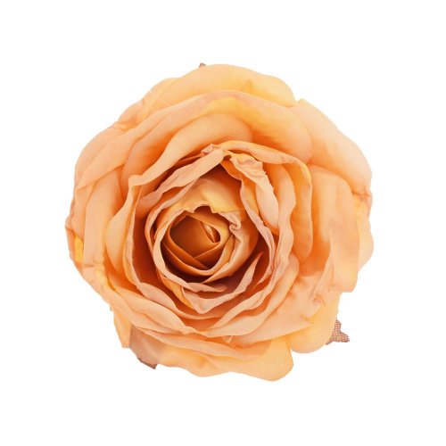 Hlava ruža žltá 6cm