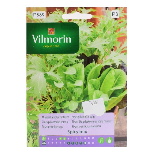 Zmes pikantného korenia spicy mix