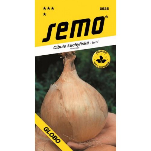 Cibuľa globo 1g - Vianočné stromčeky