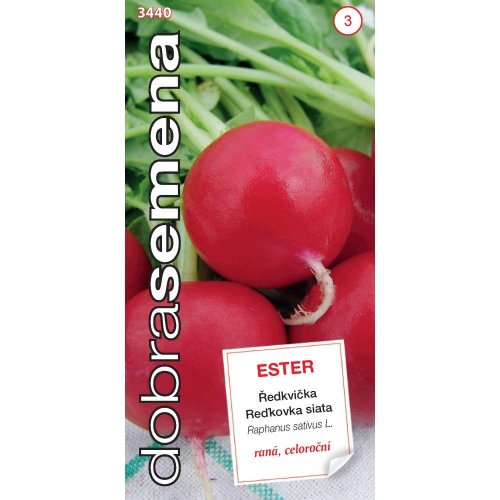 Reďkovka skorá ester 3g - Vianočné dekorácie