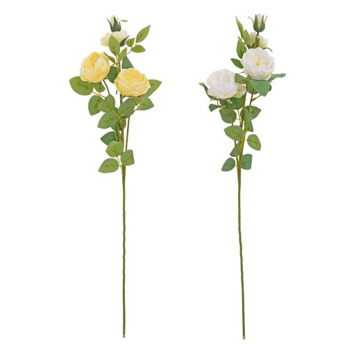 Ks ruža šípová mix/2f 68cm