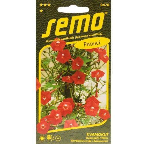 Kvamoklit kardinal 1g