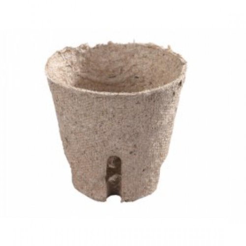 Rašel.sadb. okrúhly 6cm en