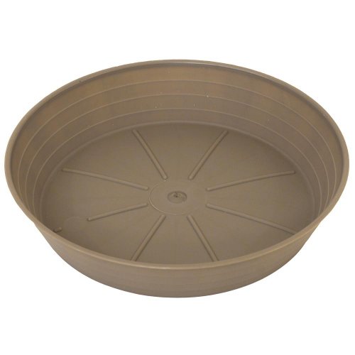 Miska primavera taupe 38xh5,5cm