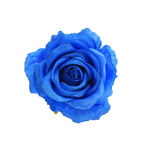 Hlava ruža modrá priem:10cm