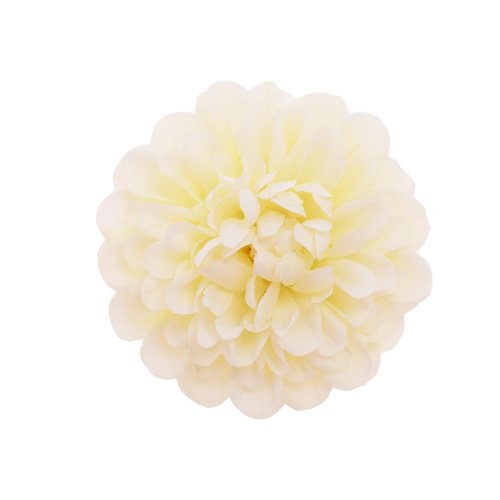 Hlava dália krémová 9cm