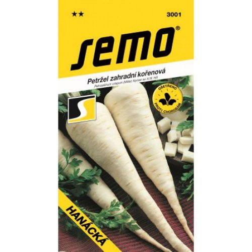 Petržlen kor hanácky 3g