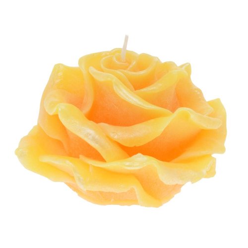 Ruža elizabeth veľ.žltá 12x8