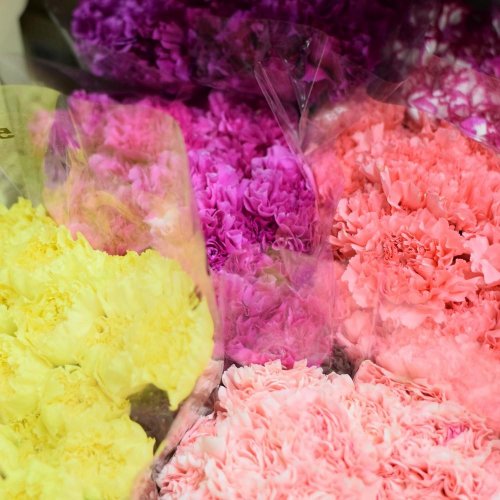 Karafiat fa/ ks - Umelé kvety