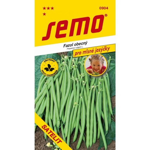 Fazuľa záhr. kríčk. satelit/fleuret 7g - Vianočné dekorácie