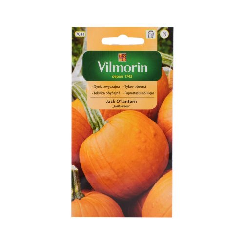 Tekvica obyčajná jack o´lantern 2g